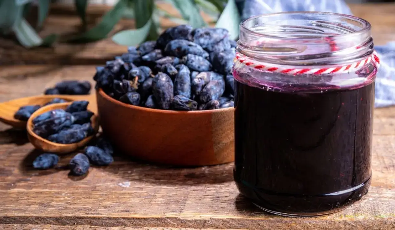 Sok z jagody kamczackiej - ile pić, aby korzystać z właściwości?
