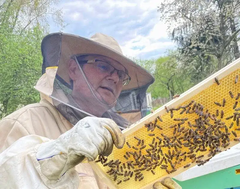 Gdzie kupić surowy miód? Sprawdzone miejsca i cenne wskazówki