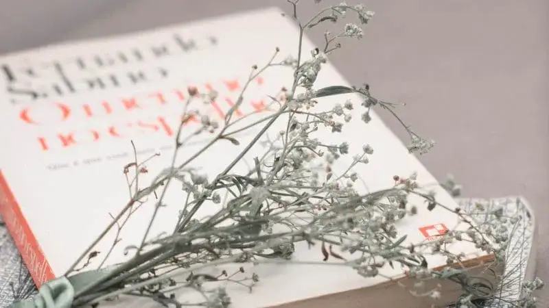 Najlepsze książki o miłości polskich autorów - od klasyków do współczesności