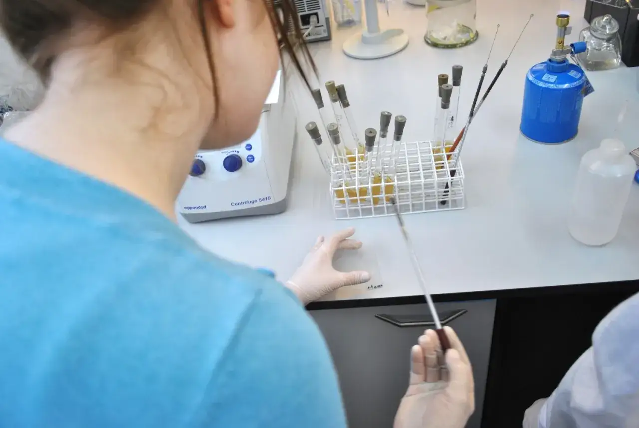 Biologia sądowa – czy warto studiować? Perspektywy, zarobki i wady kierunku