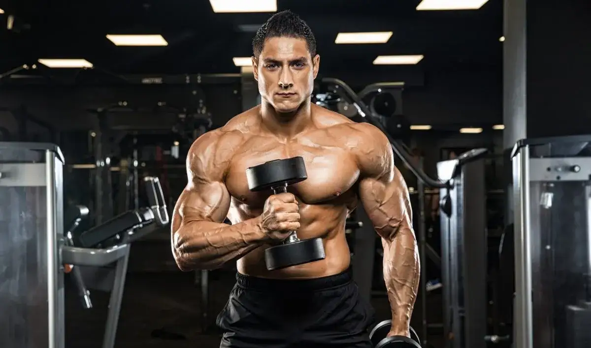 Ile ćwiczeń na treningu siłowym, aby osiągnąć najlepsze wyniki?