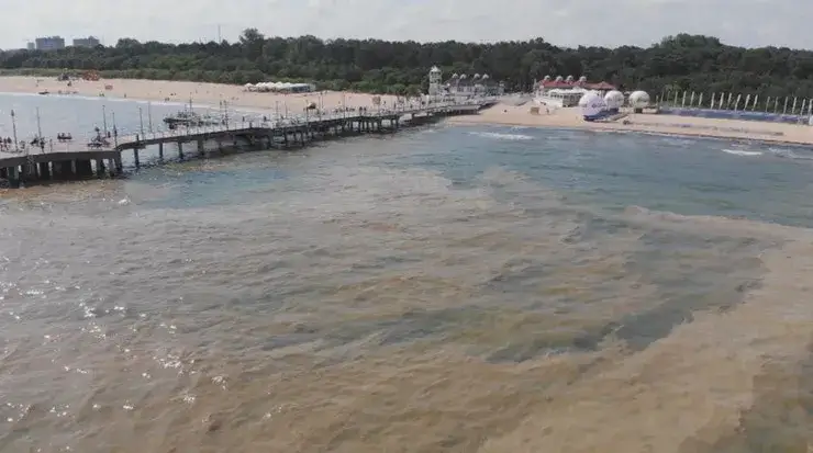 Czy Bałtyk jest zanieczyszczony? Poznaj prawdę o bezpieczeństwie kąpielisk