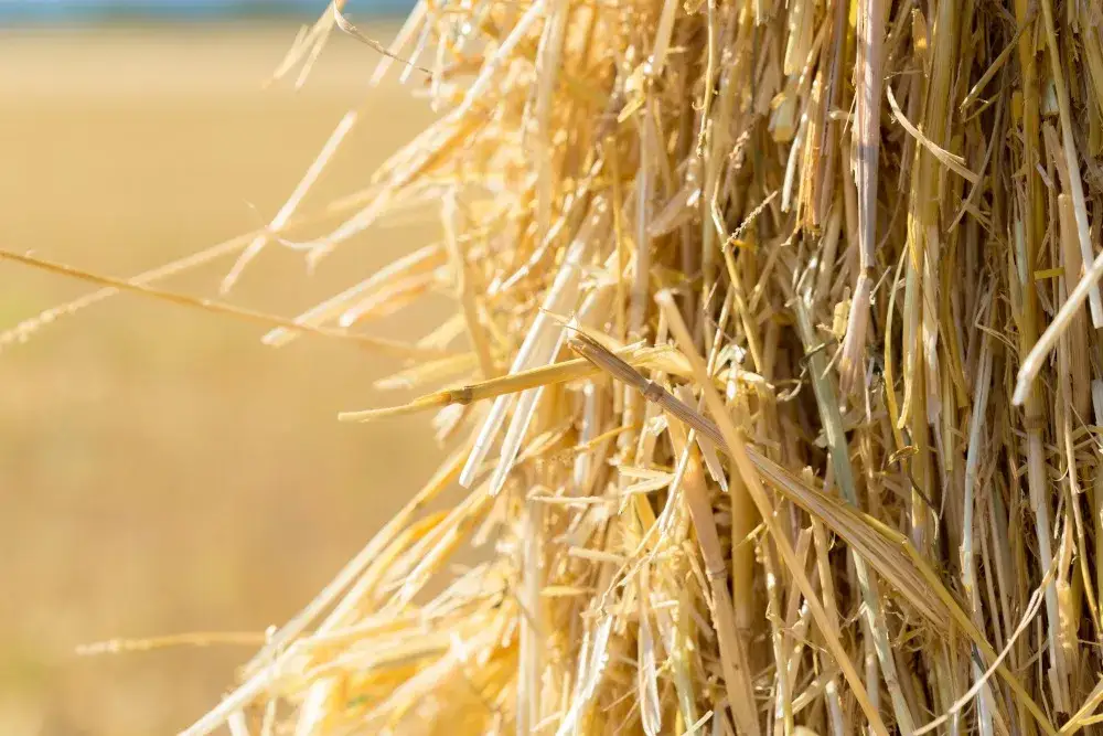 Jak zrobić pellet ze słomy krok po kroku – praktyczne porady i korzyści
