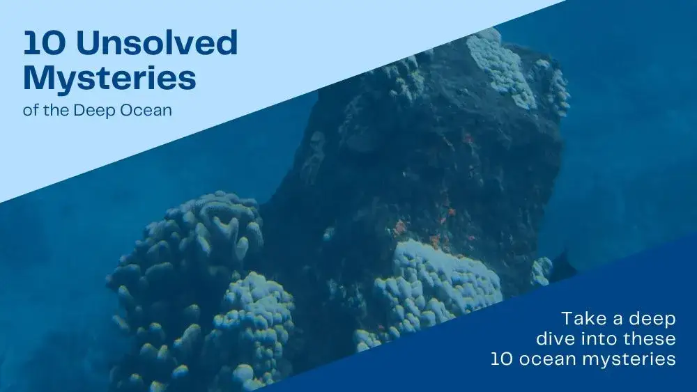 Deep water - fascynujący świat oceanicznych głębin i ich tajemnice