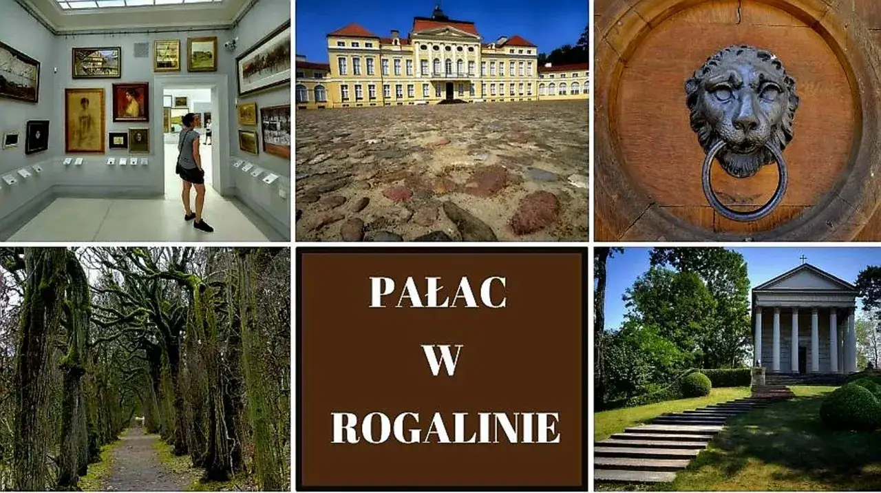 Cennik biletów do pałacu w Rogalinie – poznaj ceny i atrakcje