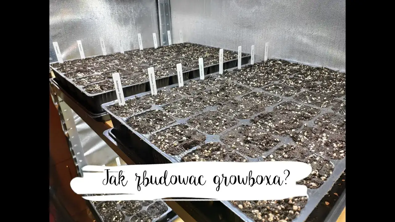 Jak stworzyć idealny growbox DIY: materiały, instrukcje i porady
