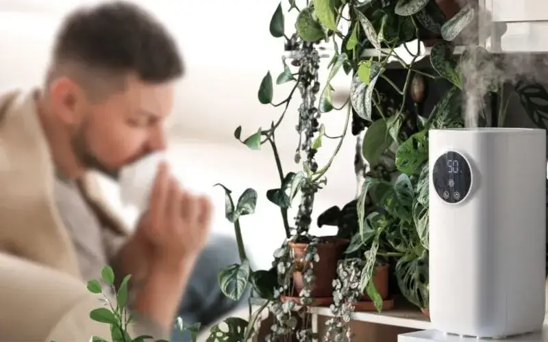 Najlepszy nawilżacz powietrza dla alergika: skuteczna ulga w objawach alergii