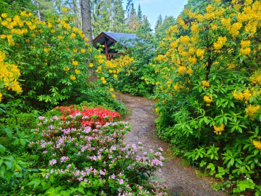 Arboretum Lądek Zdrój: czym zachwyca to wyjątkowe miejsce?
