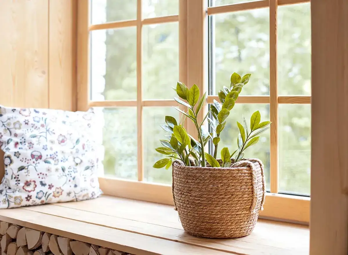 Jak ozdobić parapet w sypialni: 10 inspirujących pomysłów