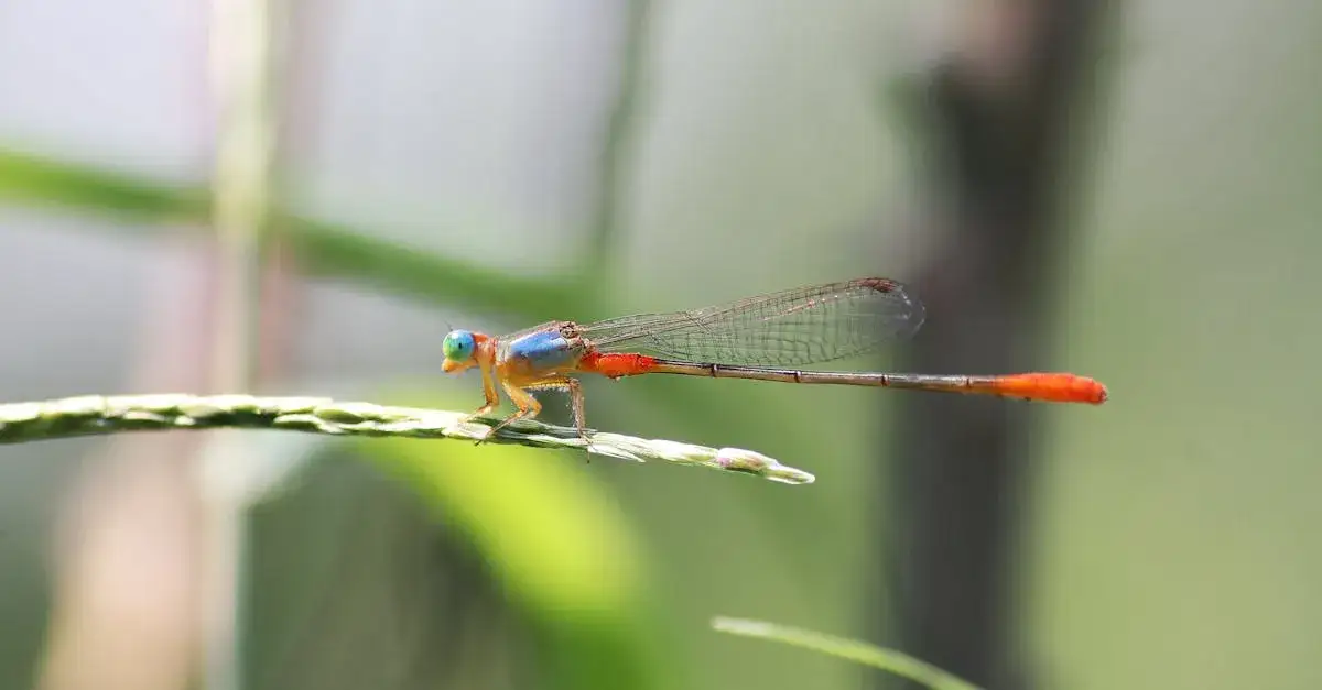 Oto, jak łatwo sobie skutecznie poradzić z niespełnioną miłością!