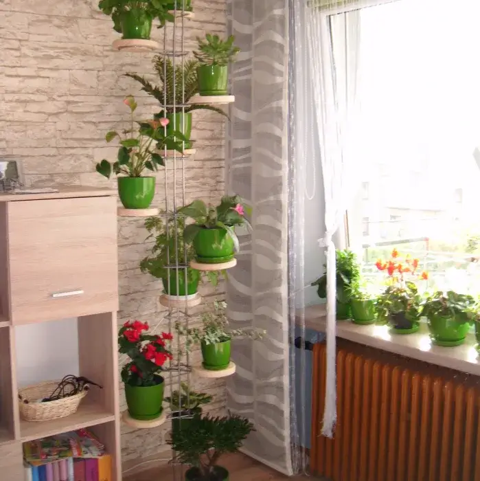 Jakie kwiaty na kwietnik w domu? 10 najlepszych propozycji