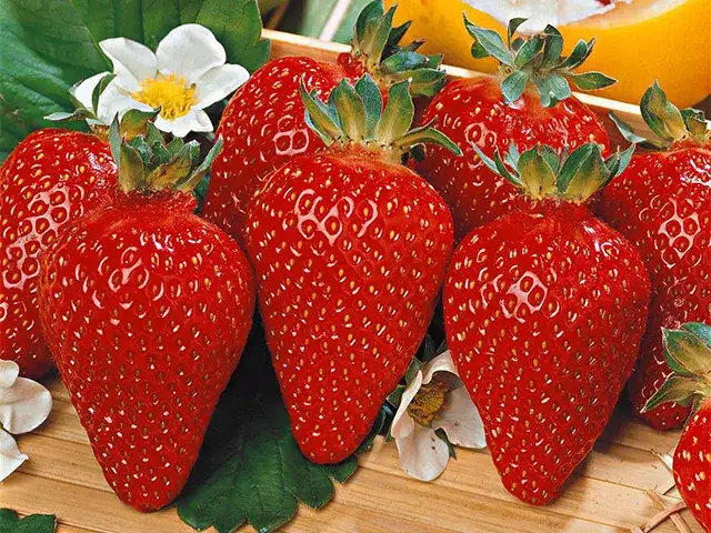 Czym azjatycka truskawka różni się od europejskiej? Oto opis!