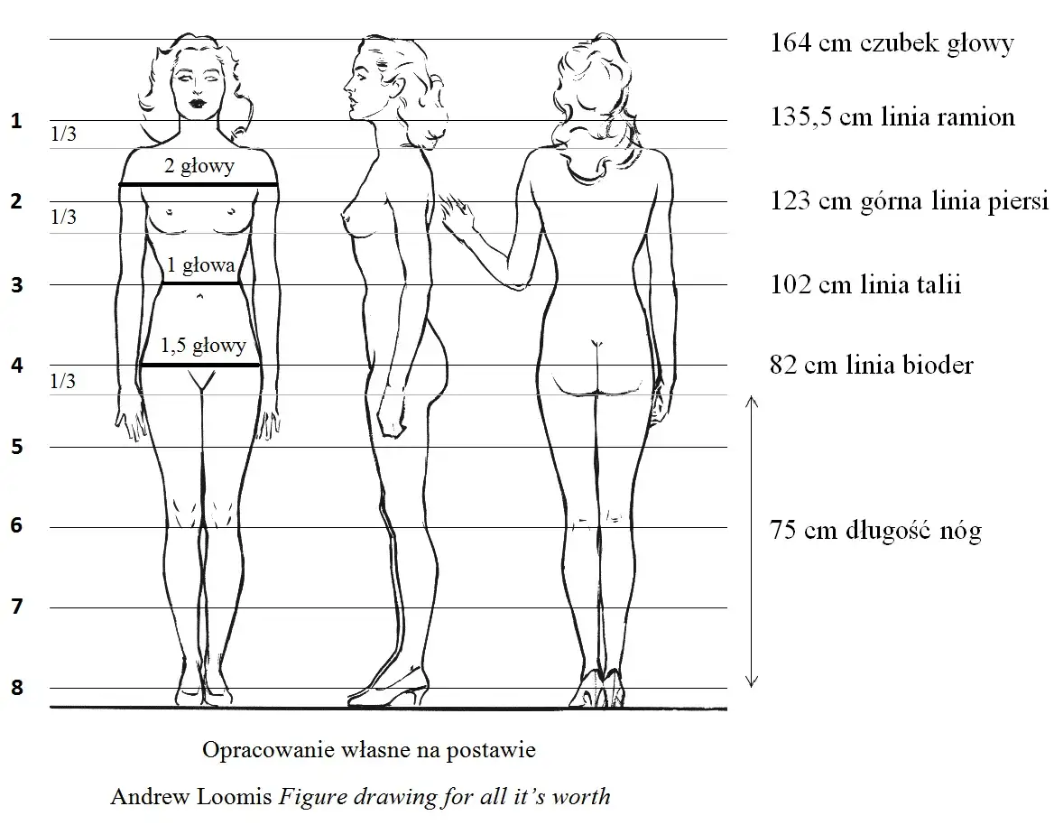 Idealne wymiary kobiecej sylwetki – jak je osiągnąć i czy warto?