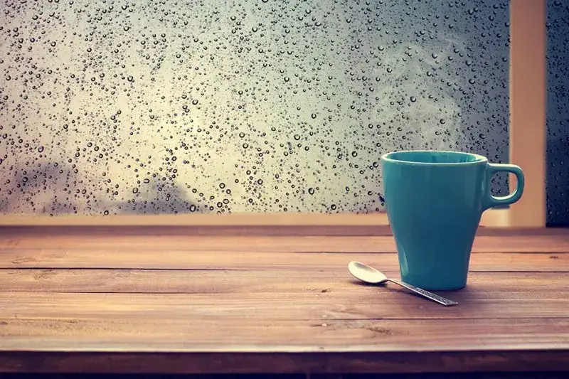 Czym pomalować drewniane parapety, by uniknąć ich zniszczenia?