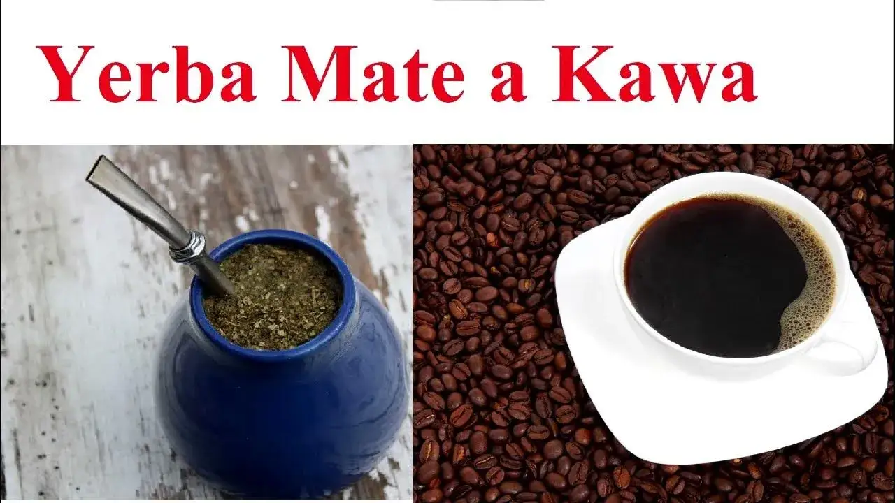 Yerba mate czy kawa – co wybrać dla lepszej koncentracji?