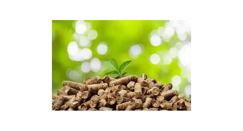 Czy pellet jest ekologiczny? Fakty i mity o zielonym paliwie