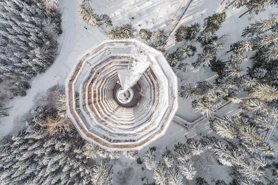Spacer w koronach drzew Dolny Śląsk - niezapomniane wrażenia w naturze