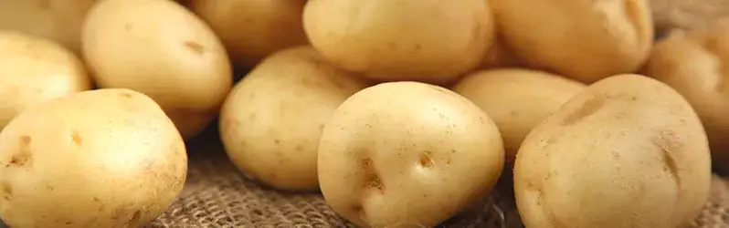 Co do ziemniaków na obiad? 10 pysznych przepisów, które zaskoczą