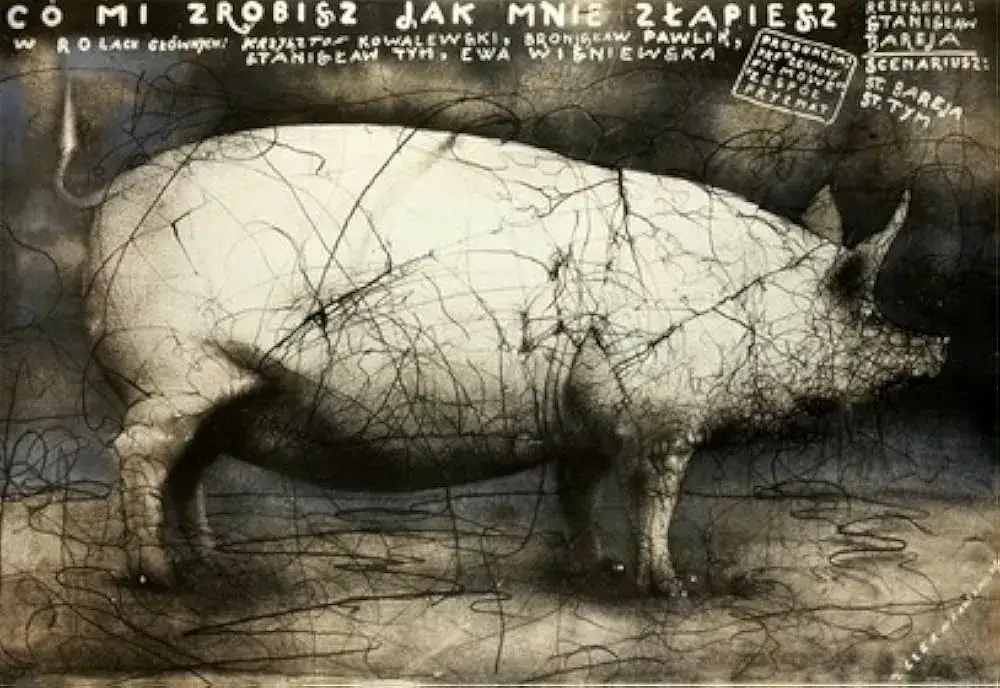 Poznaj wszystkich aktorów z filmu Co mi zrobisz jak mnie złapiesz i ich role