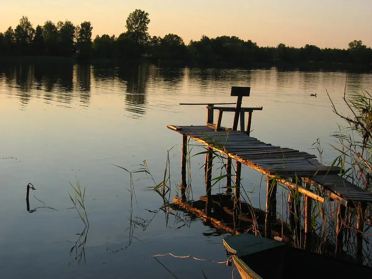 Jezioro Okonińskie: magiczny zakątek Borów Tucholskich na wakacje 2025