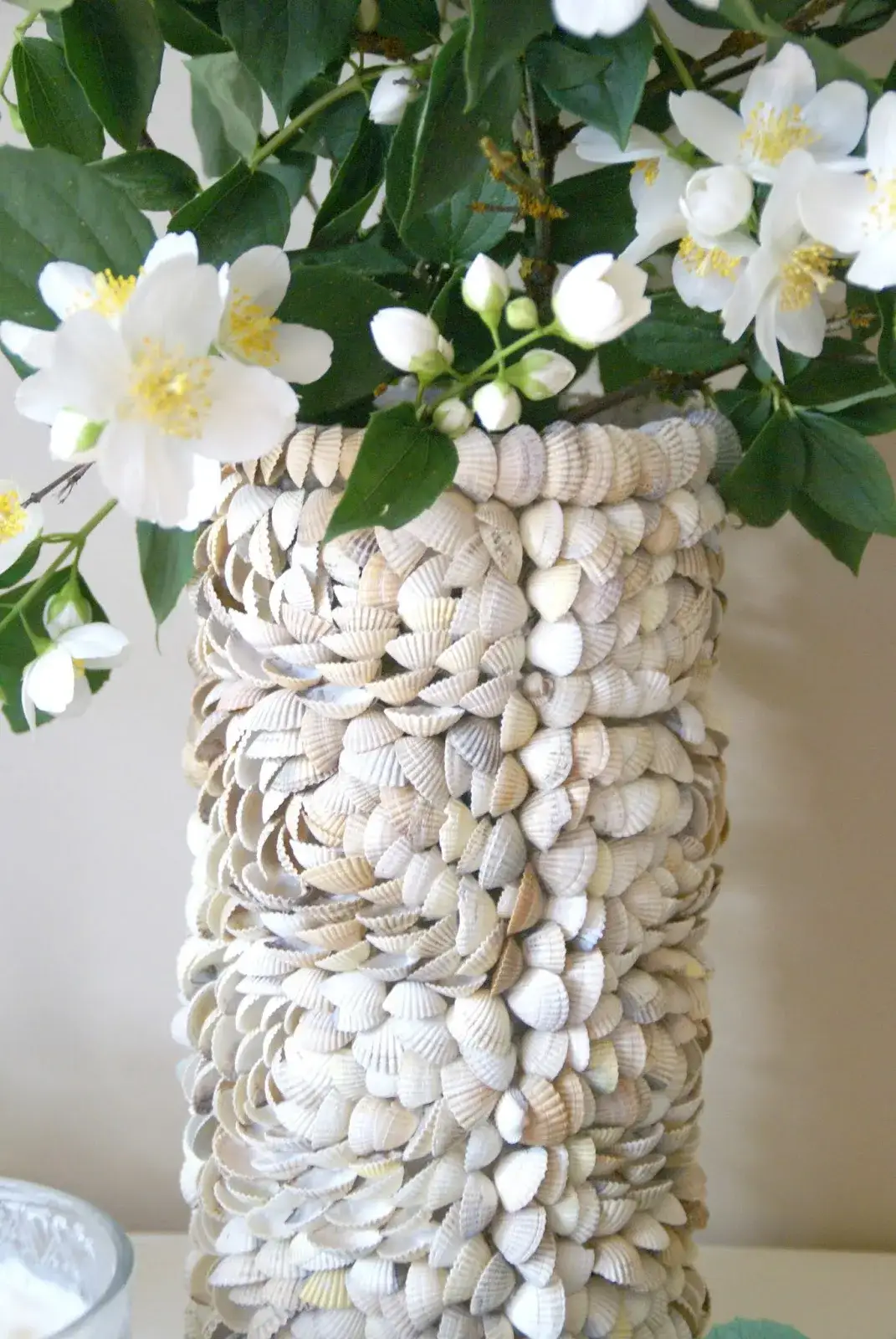 Najlepsze pomysły na DIY z muszelek do wyjątkowych dekoracji