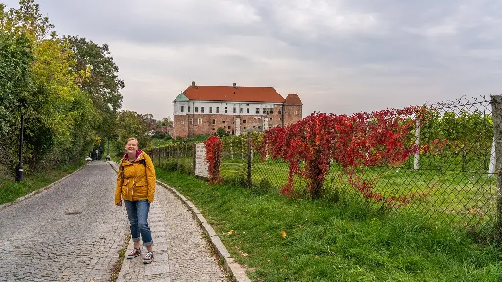 Sandomierz atrakcje turystyczne, które zaskoczą każdego turystę