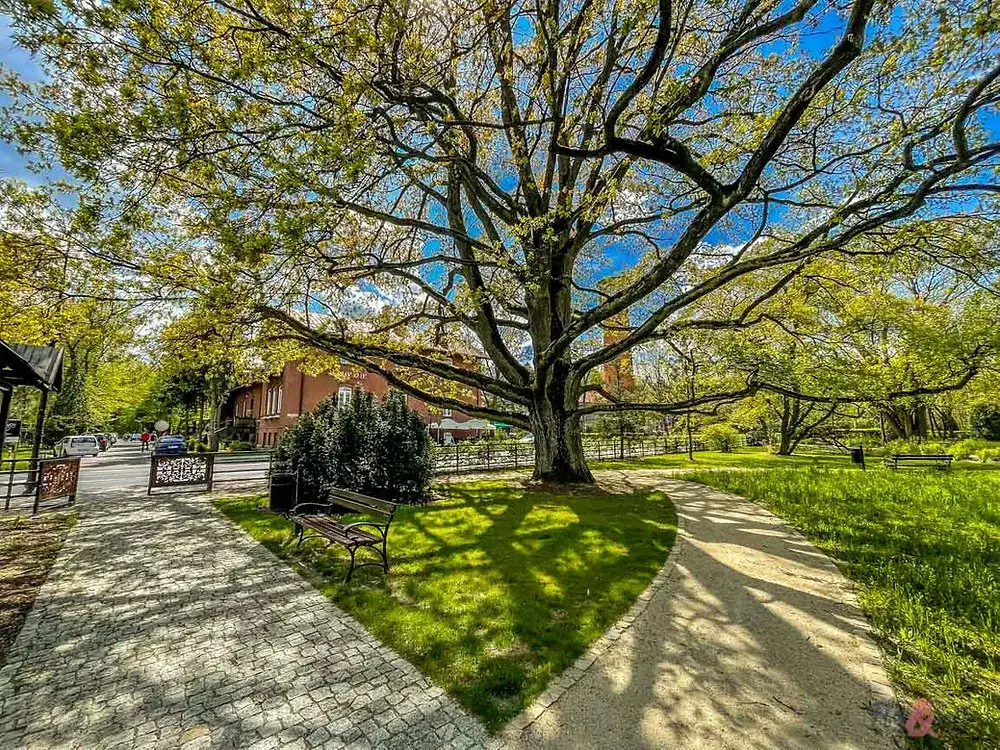 Najlepsze atrakcje turystyczne w Spałej, które musisz poznać