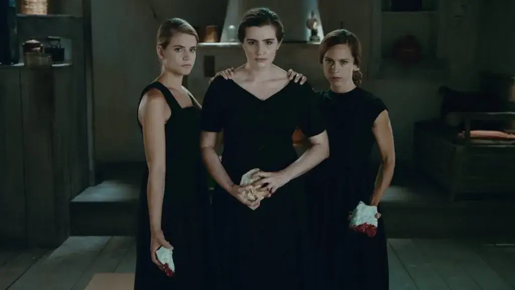 Ile odcinków serialu Dzikie pszczoły? Pełna lista sezonów i epizodów