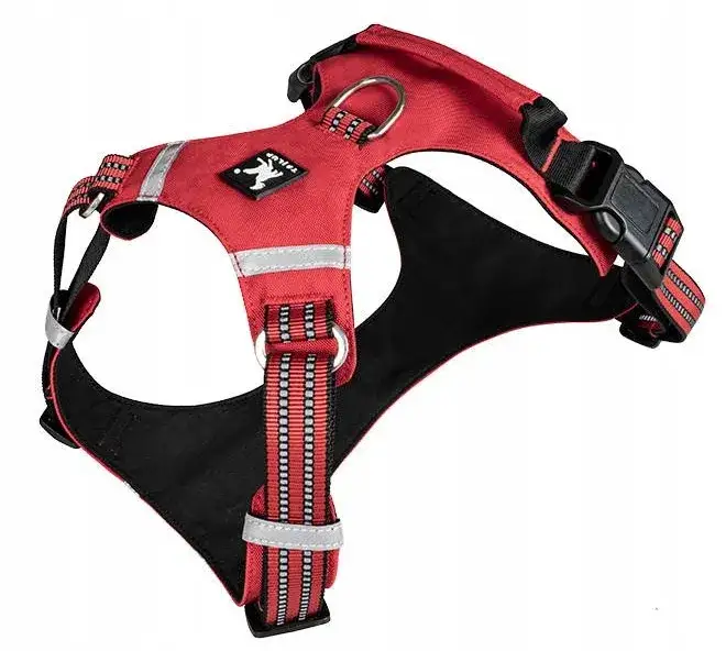 Jakie szelki dla husky zapewnią bezpieczeństwo i komfort?