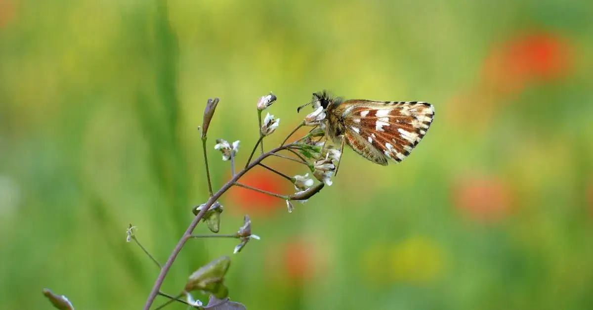 5 kwiatów z filmów, które skradły serca widzów. Poznaj je