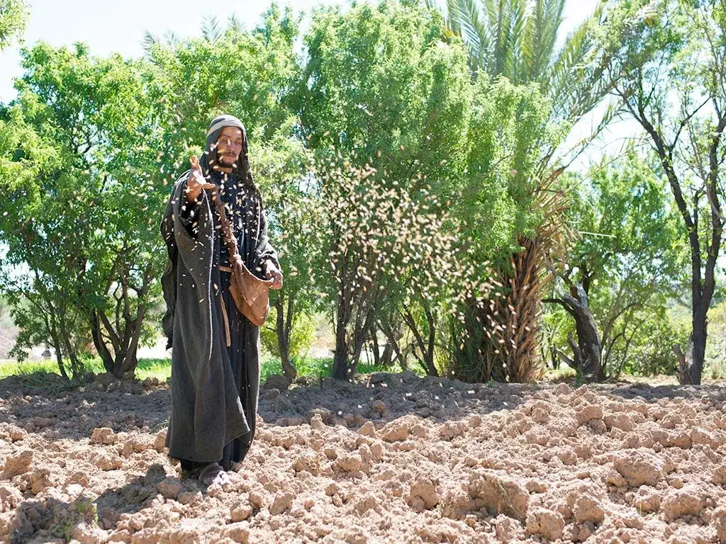 Przypowieść biblijna o siewcy: odkryj jej głębokie znaczenie i przesłanie