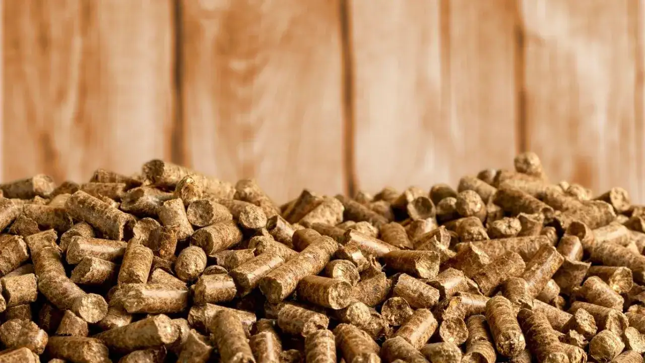 Gdzie kupić pellet w Czechach? Najlepsze oferty i opinie klientów