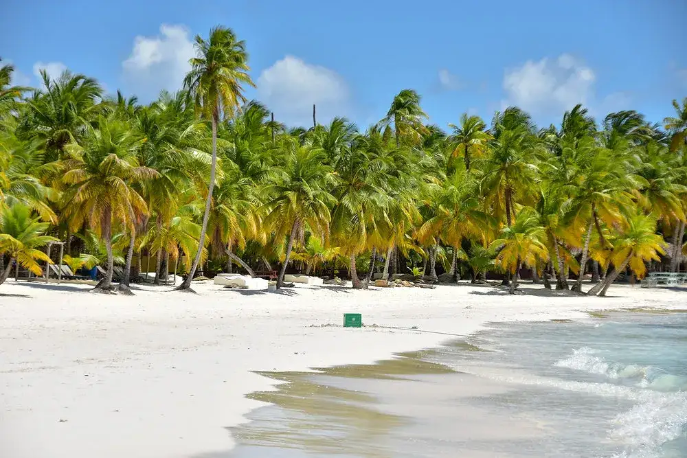 Punta Cana atrakcje - odkryj niezapomniane miejsca i przygody