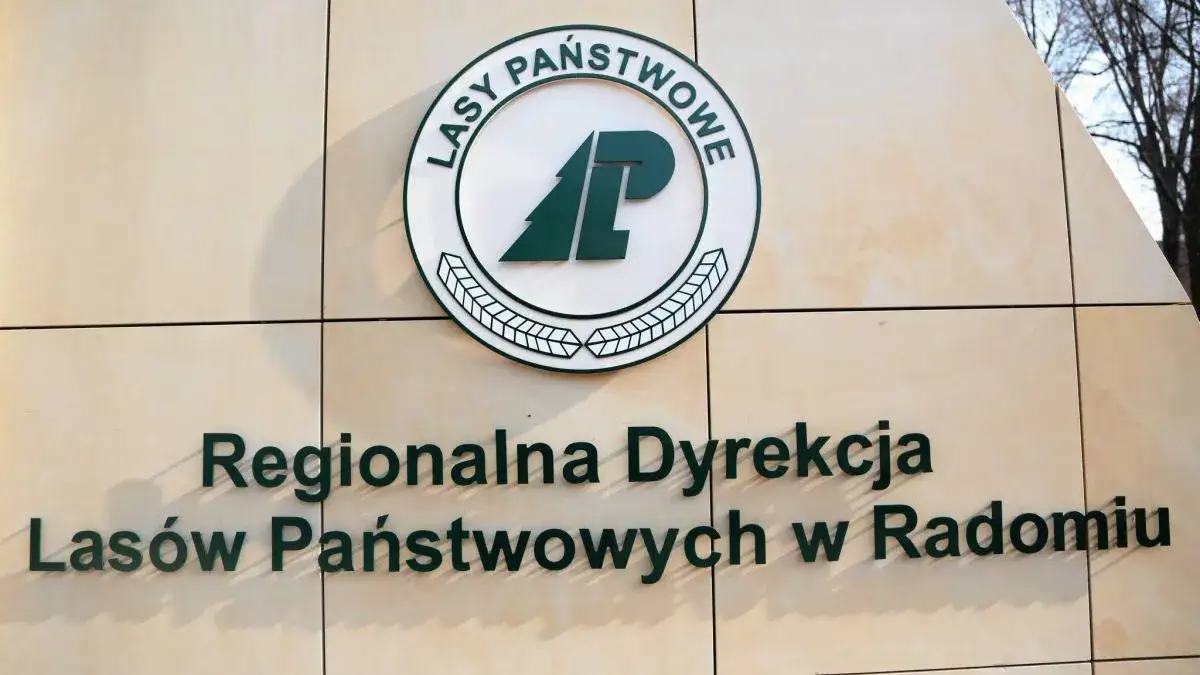 Regionalna dyrekcja lasów państwowych w Radomiu – kluczowe informacje i działalność