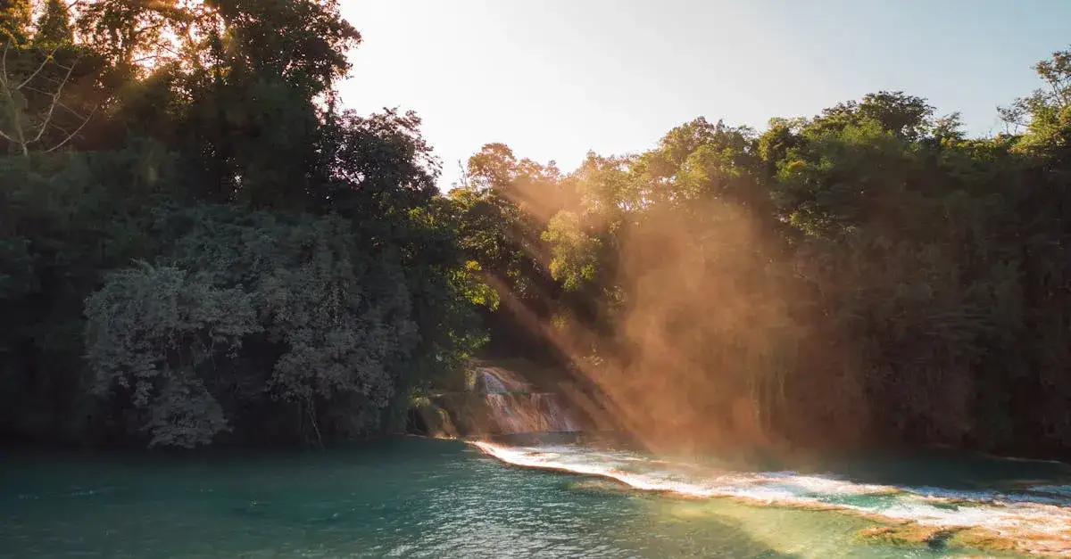 Jaki nowy świat odkrywa przed nami Pieśń Słoneczna? Oto tekst!