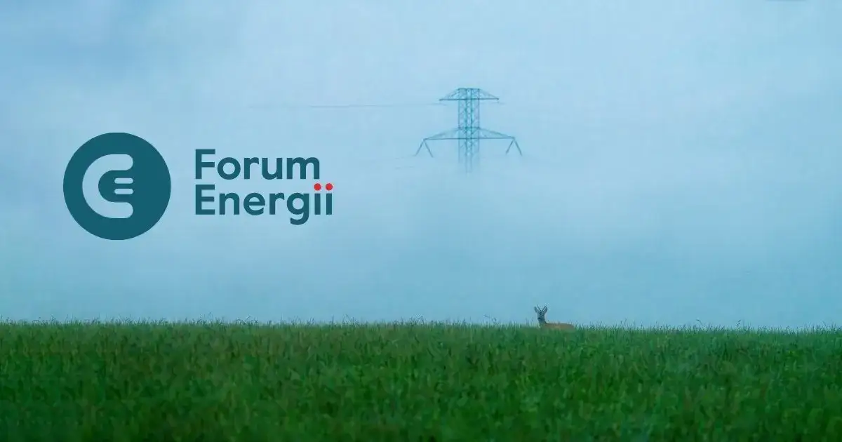 Ile prądu zużywa Polska? Zaskakujące statystyki i trendy energii