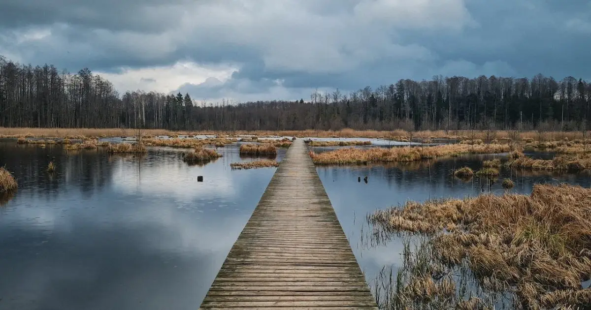 Gdzie jechać w niedzielę: Doskonałe pomysły na one-day trip