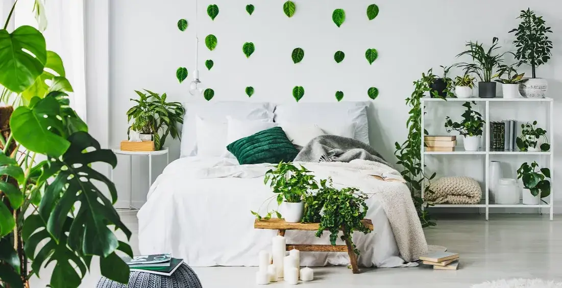 Jakie kwiaty do sypialni poprawią sen i oczyszczą powietrze?