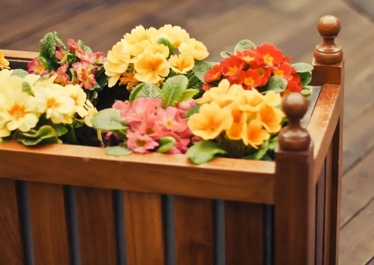 Z czego zrobić kwietnik do domu? Pomysły, materiały i instrukcje krok po kroku