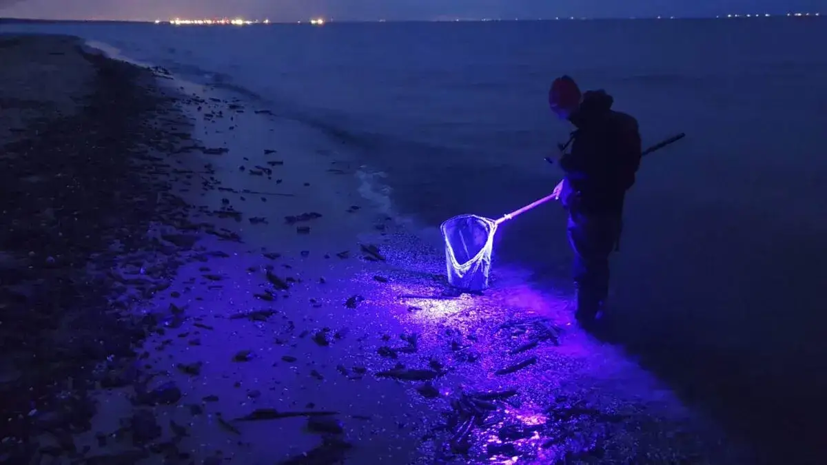 Największe złoża bursztynu nad Bałtykiem: 8 najlepszych lokalizacji