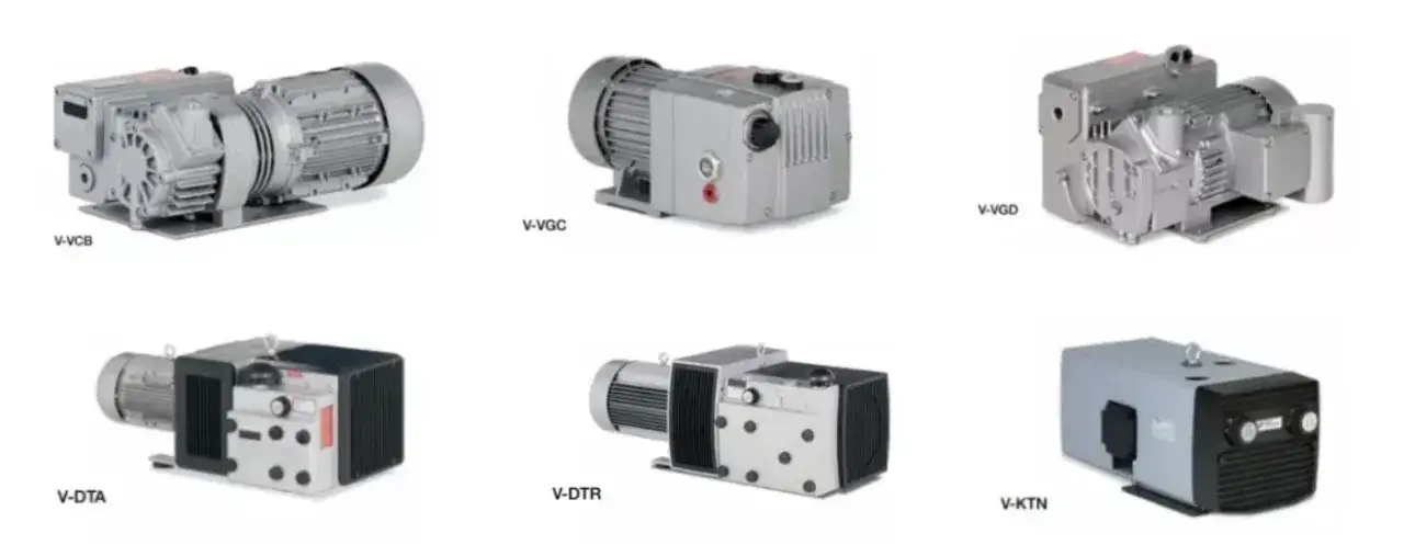 Pompki Łopatkowe: Klucz do Siły i Mobilności w Treningu