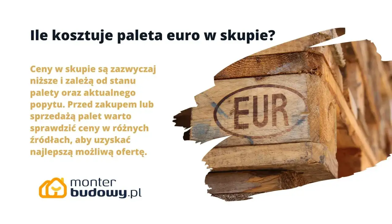 Ile kosztuje euro w skupie? Sprawdź, gdzie sprzedać euro najkorzystniej!