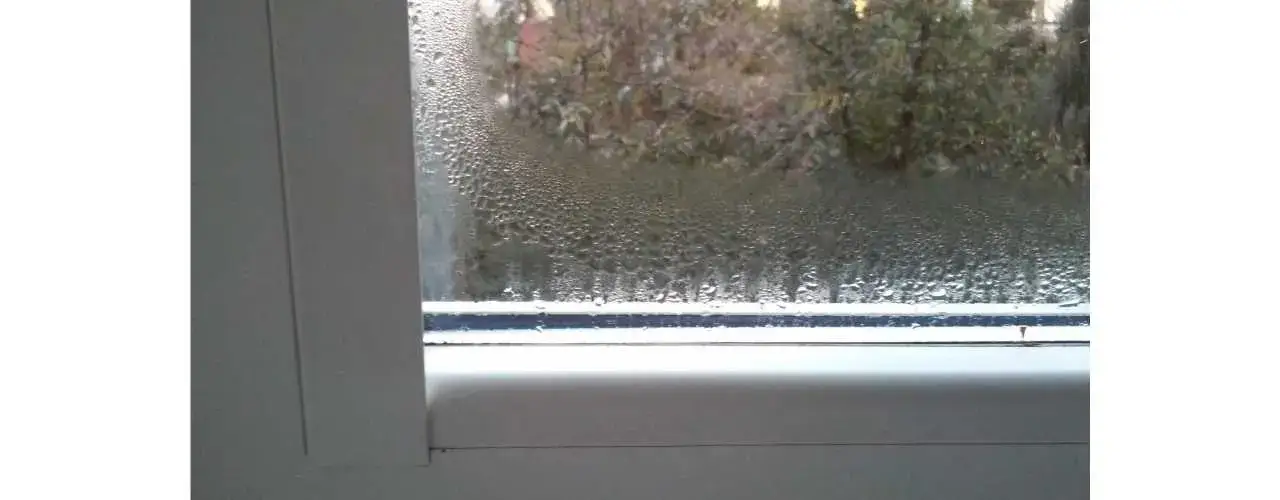 Dlaczego na oknie skrapla się woda? Przyczyny i skuteczne sposoby na wilgoć