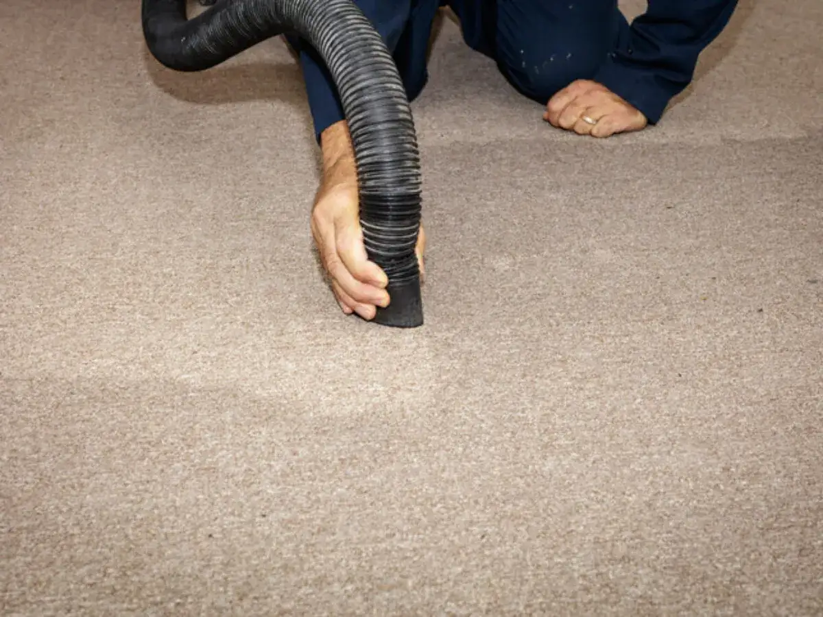 Jak wysuszyć dywan skutecznie po zalaniu i uniknąć pleśni?