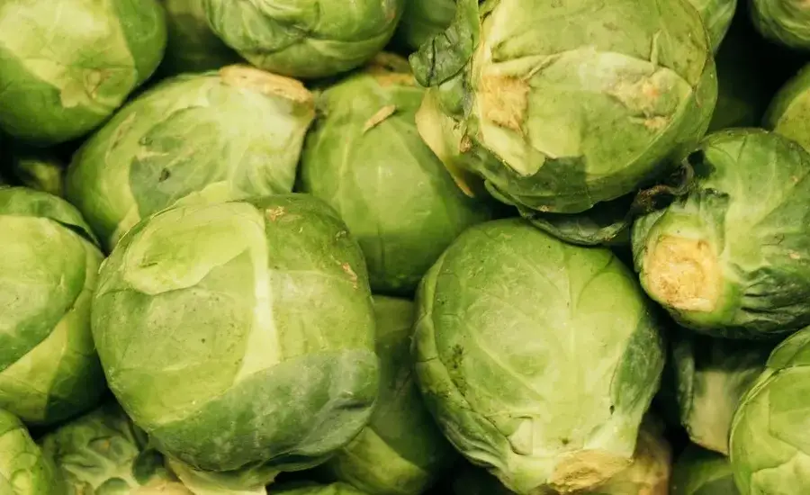Jak dietetycznie przyrządzić brukselkę: 7 zdrowych sposobów