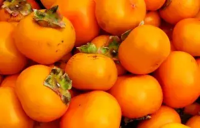 Jakie owoce rosną w Hiszpanii? Odkryj pyszne smaki i regionalne skarby