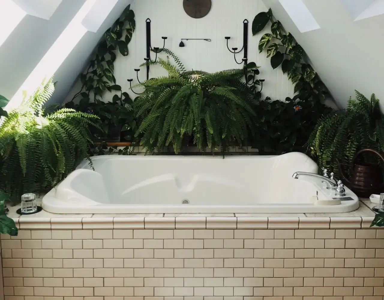 Jakie rośliny do łazienki bez okna przetrwają w ciemności i wilgoci? Praktyczne porady