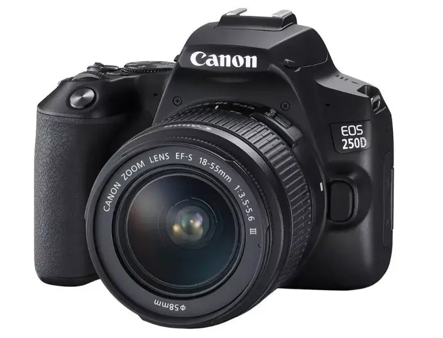 Jaki aparat wybrać dla początkującego fotografa, by uniknąć frustracji?