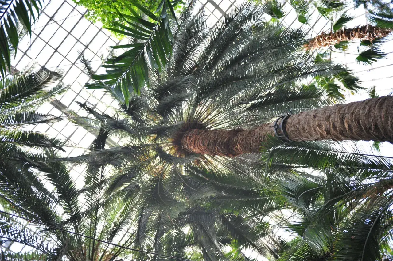 Co robić na Śląsku gdy pada deszcz - najlepsze atrakcje na trudne dni