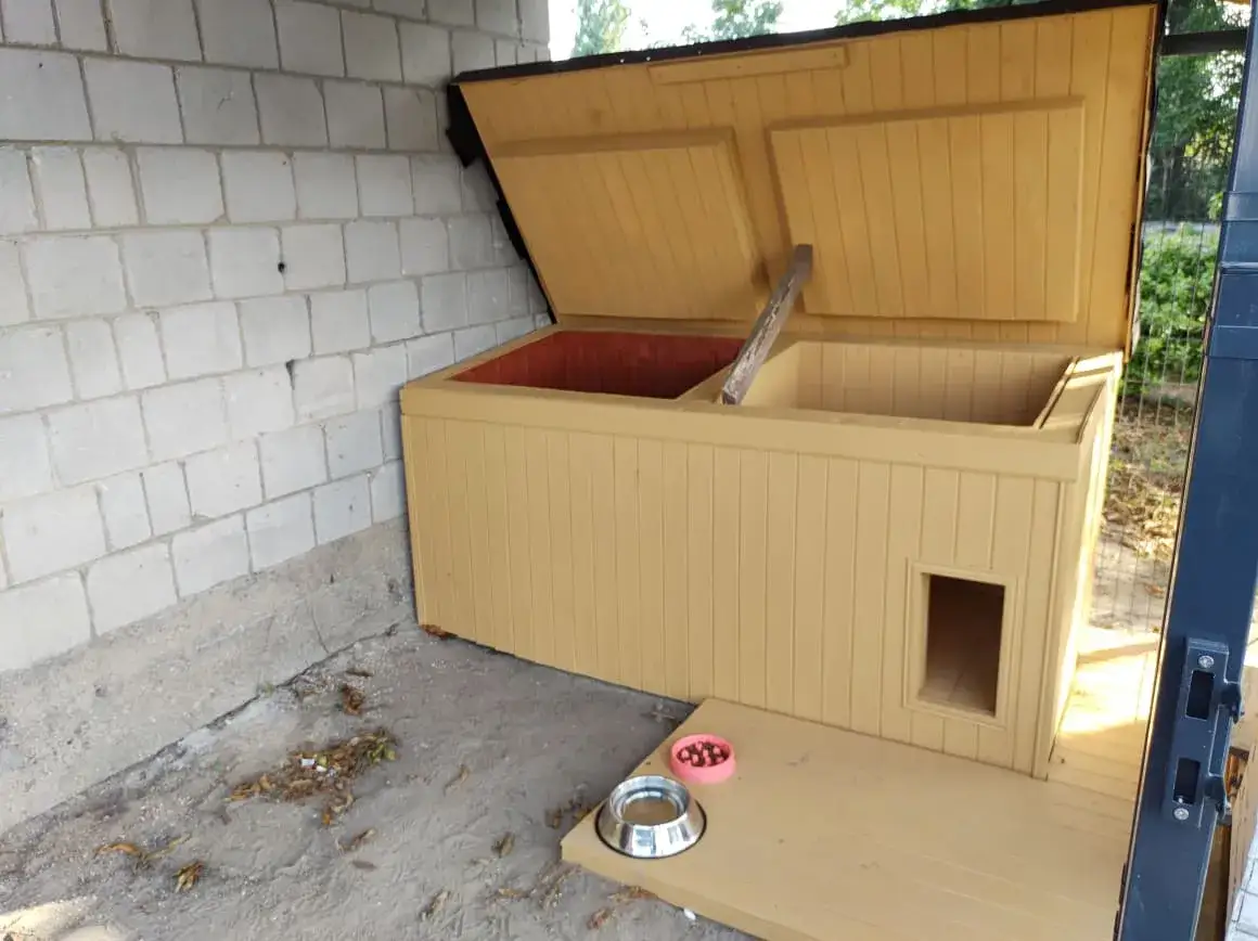 Jak zrobić budę dla psa z płyty OSB: prosty poradnik dla majsterkowicza